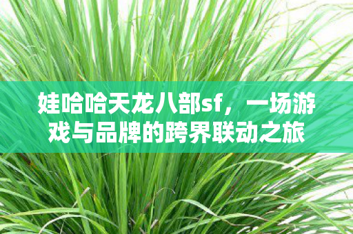 一场游戏与品牌的跨界联动之旅图片