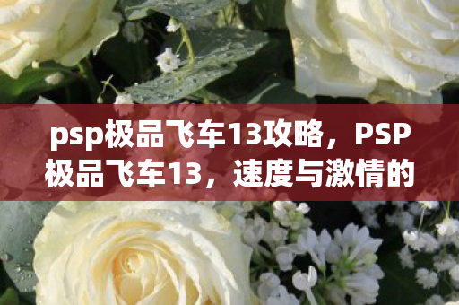 psp极品飞车13攻略图片