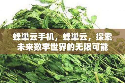 探索未来数字世界的无限可能图片