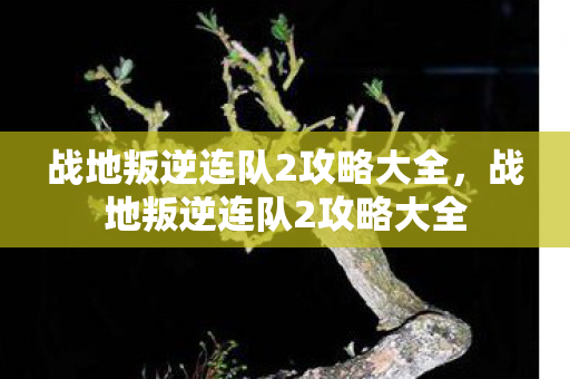 战地叛逆连队2攻略大全图片