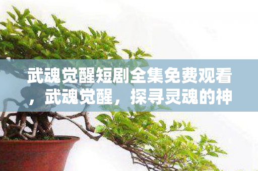 武魂觉醒短剧全集免费观看图片
