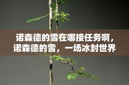 诺森德的雪在哪接任务啊图片