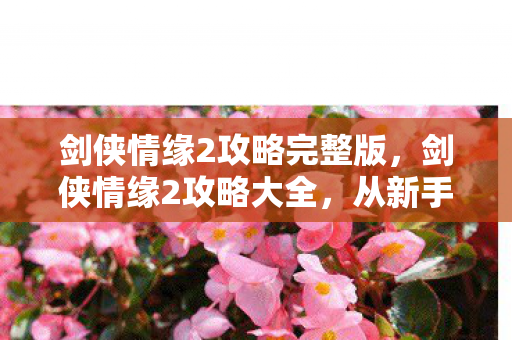 从新手到高手的全面指南图片
