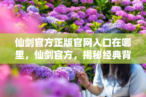 仙剑官方正版官网入口在哪里图片