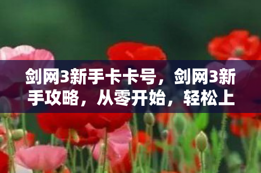 剑网3新手卡卡号图片