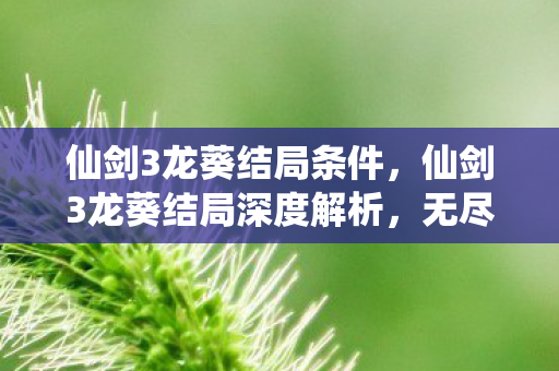 无尽的红颜殇与命运的无奈图片