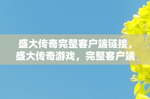 盛大传奇完整客户端链接图片