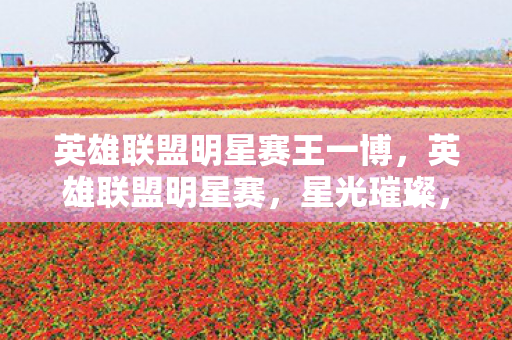 英雄联盟明星赛王一博图片