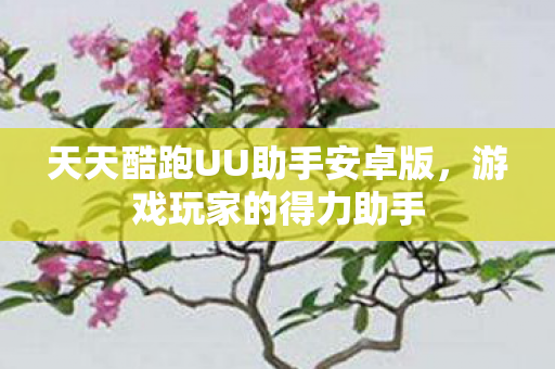 天天酷跑UU助手安卓版图片
