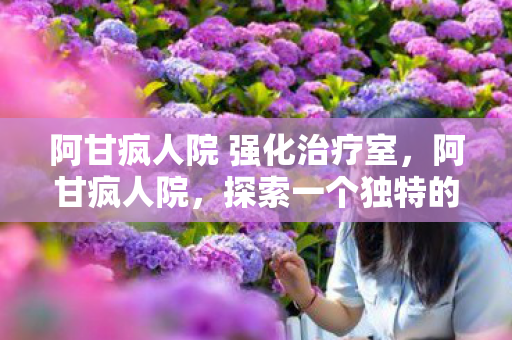 阿甘疯人院 强化治疗室图片