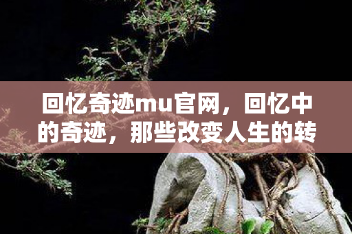那些改变人生的转折点图片
