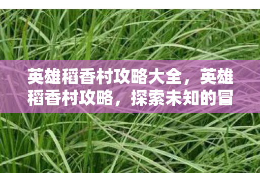 英雄稻香村攻略大全图片