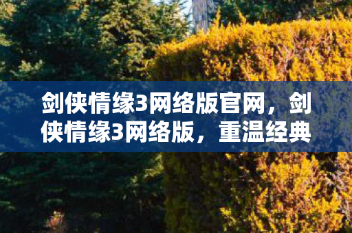 剑侠情缘3网络版官网图片