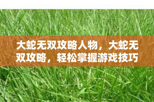 大蛇无双攻略人物图片