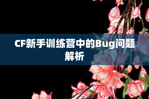 CF新手训练营中的Bug问题解析图片