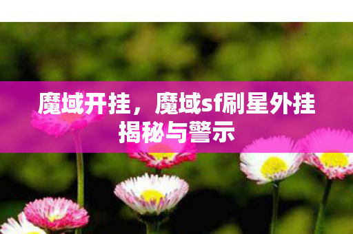 魔域sf刷星外挂揭秘与警示图片