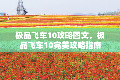 极品飞车10完美攻略指南图片