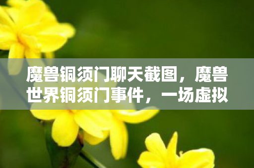 一场虚拟世界的真实风波图片