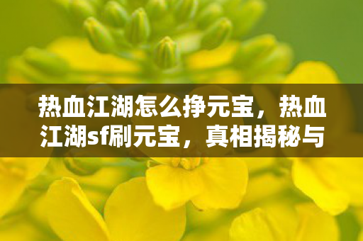 热血江湖怎么挣元宝图片