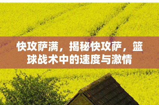 篮球战术中的速度与激情图片