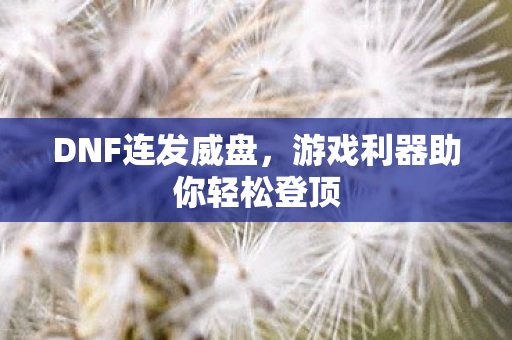 游戏利器助你轻松登顶图片