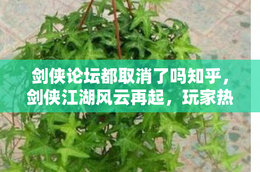 剑侠论坛都取消了吗知乎图片