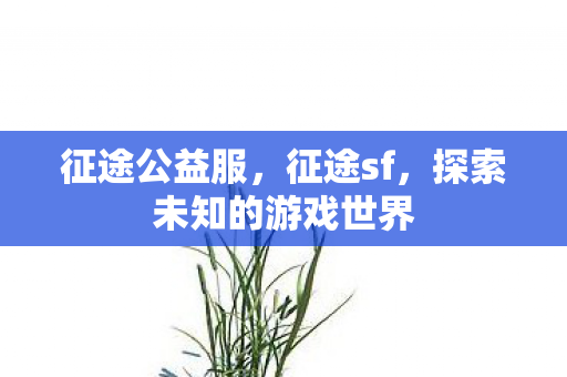 探索未知的游戏世界图片