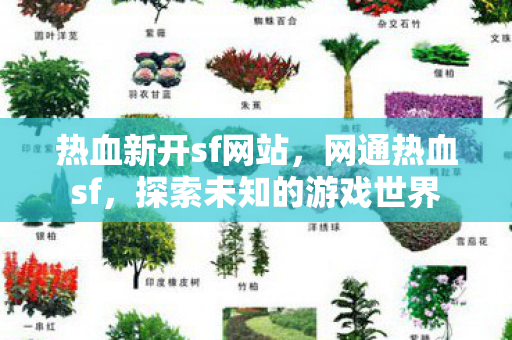 探索未知的游戏世界图片