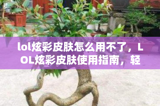 lol炫彩皮肤怎么用不了图片