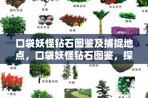 口袋妖怪钻石图鉴及捕捉地点图片