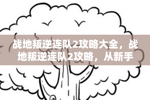 战地叛逆连队2攻略大全图片