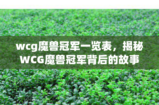 揭秘WCG魔兽冠军背后的故事图片