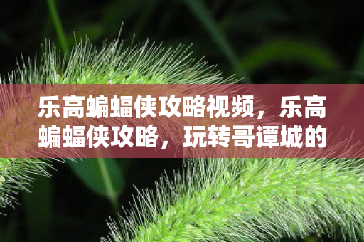 玩转哥谭城的超级英雄图片