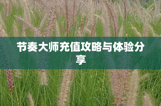 节奏大师充值攻略与体验分享图片