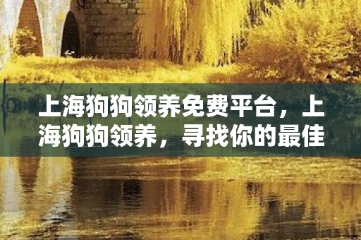 上海狗狗领养免费平台图片