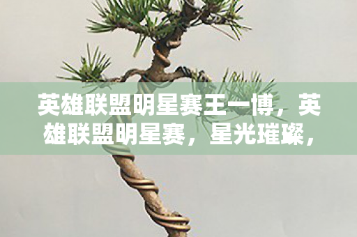 英雄联盟明星赛王一博图片