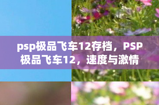 psp极品飞车12存档图片