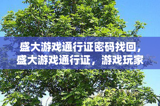 游戏玩家的身份标识与体验升级的关键图片