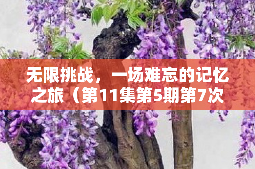 第11集第5期第7次挑战图片
