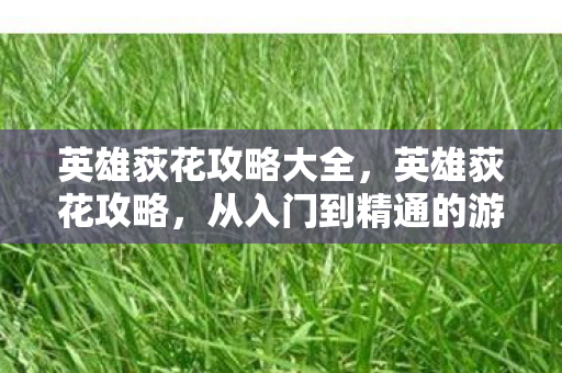 从入门到精通的游戏指南图片