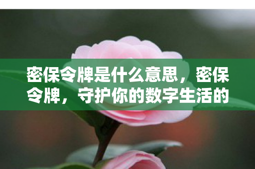 守护你的数字生活的关键一环图片