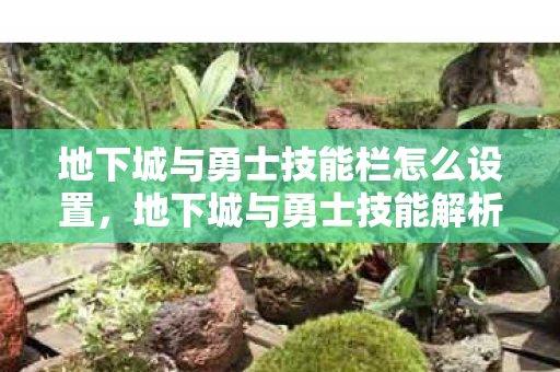 地下城与勇士技能栏怎么设置图片