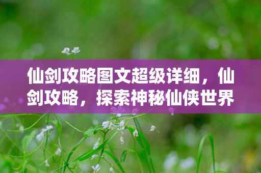 探索神秘仙侠世界的指南图片