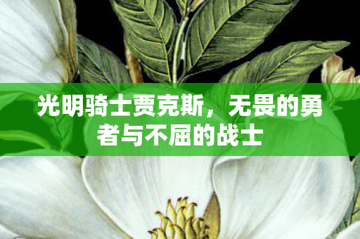 无畏的勇者与不屈的战士图片