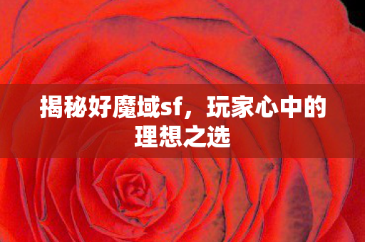玩家心中的理想之选图片