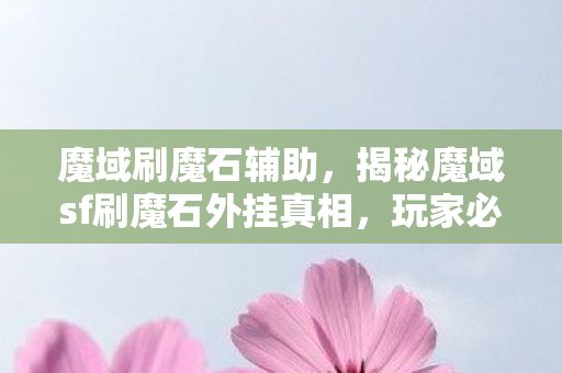 揭秘魔域sf刷魔石外挂真相图片