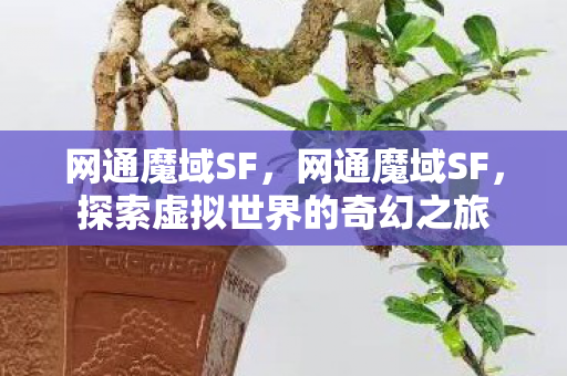 探索虚拟世界的奇幻之旅图片