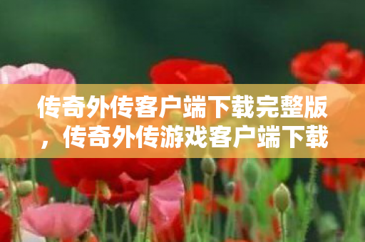 传奇外传游戏客户端下载全攻略图片