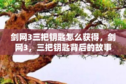 三把钥匙背后的故事与秘密图片