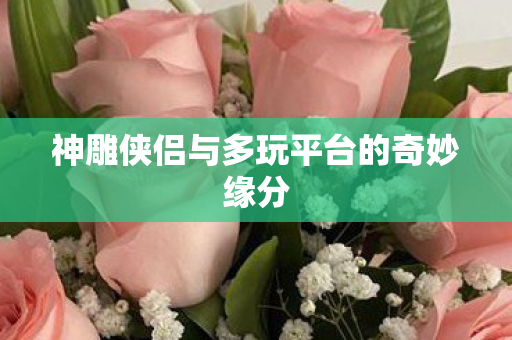 神雕侠侣与多玩平台的奇妙缘分图片